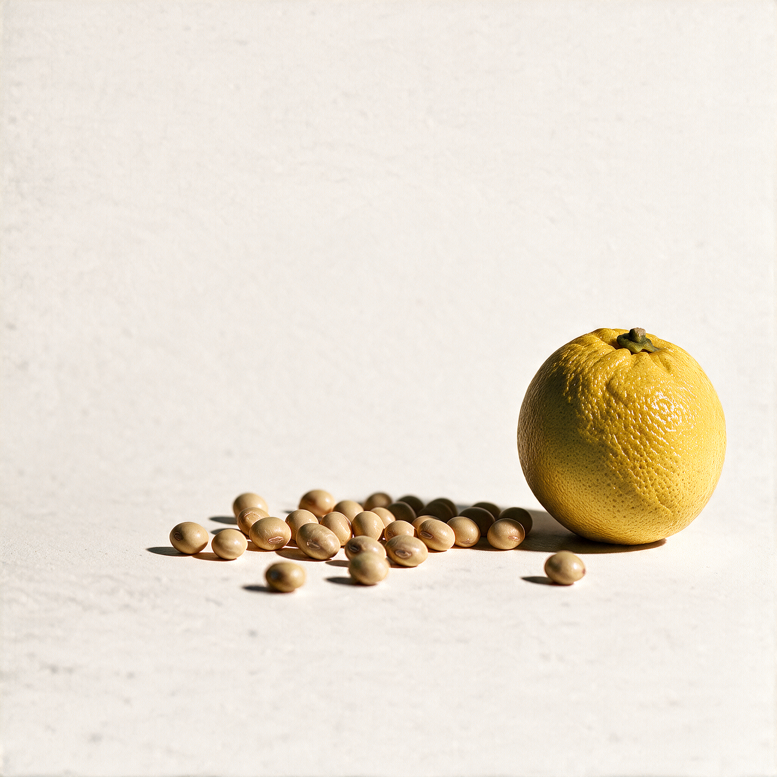 Yuzu Miso